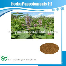 Herba Pogostemonis PE